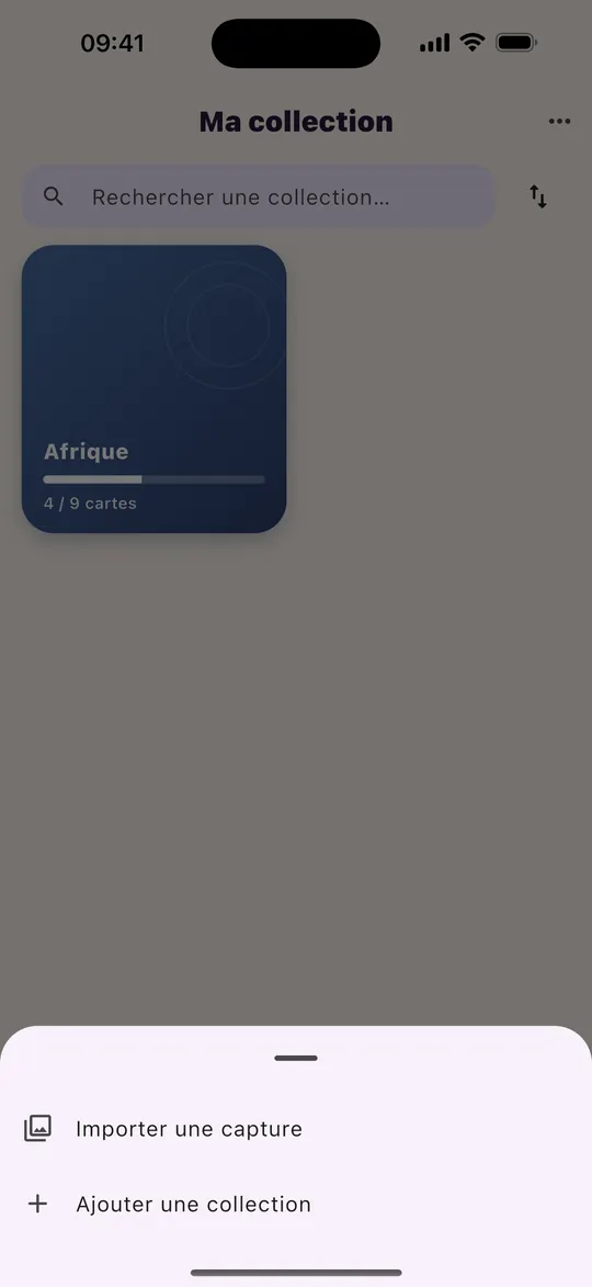 Capture de l’application : Ajoute tes cartes